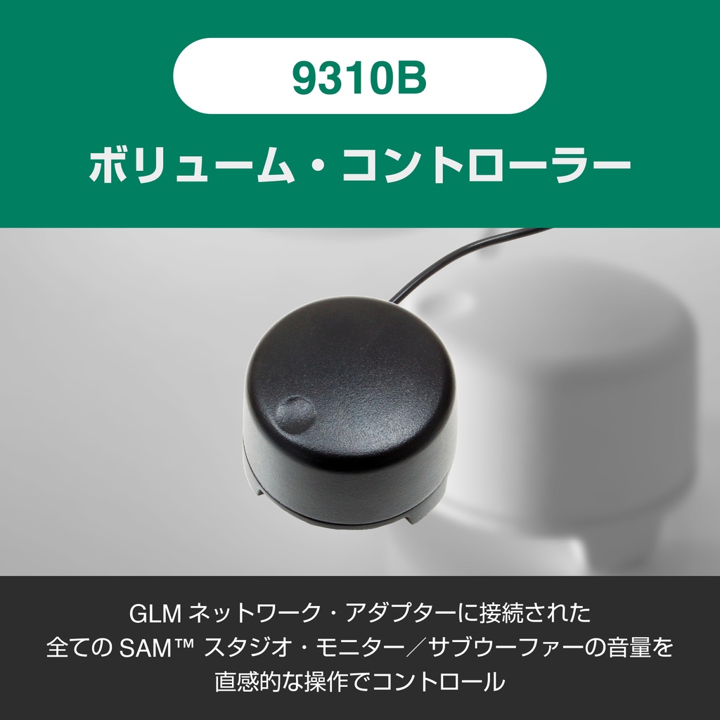 8320AMM+7350APM 2.1ch GLM Studio | Music EcoSystems STORE